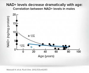 NAD-levels-decrease