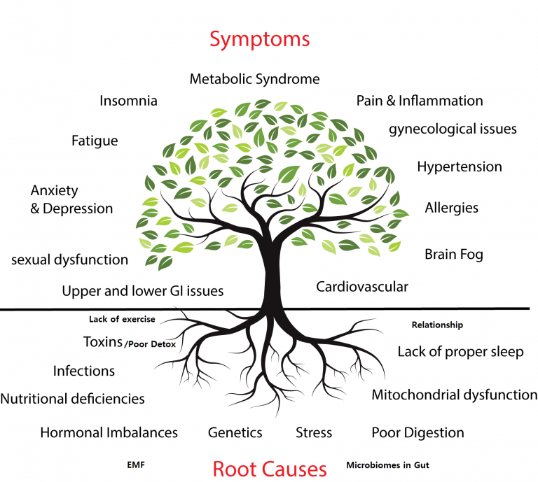 root causes