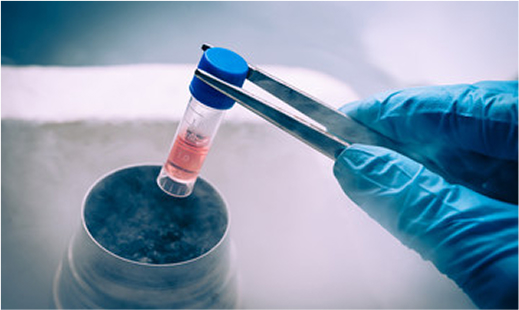 Why Bank Your Stem Cells